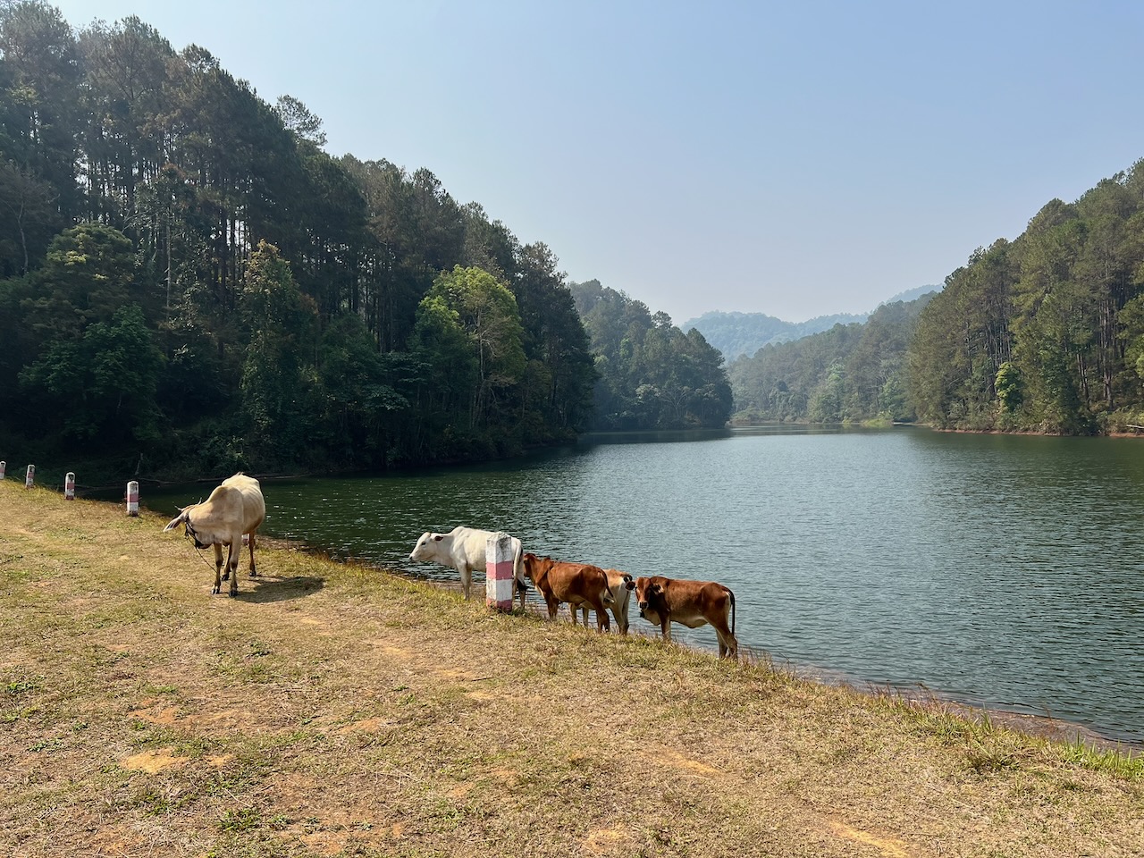 Today Switzerland, Italy and France