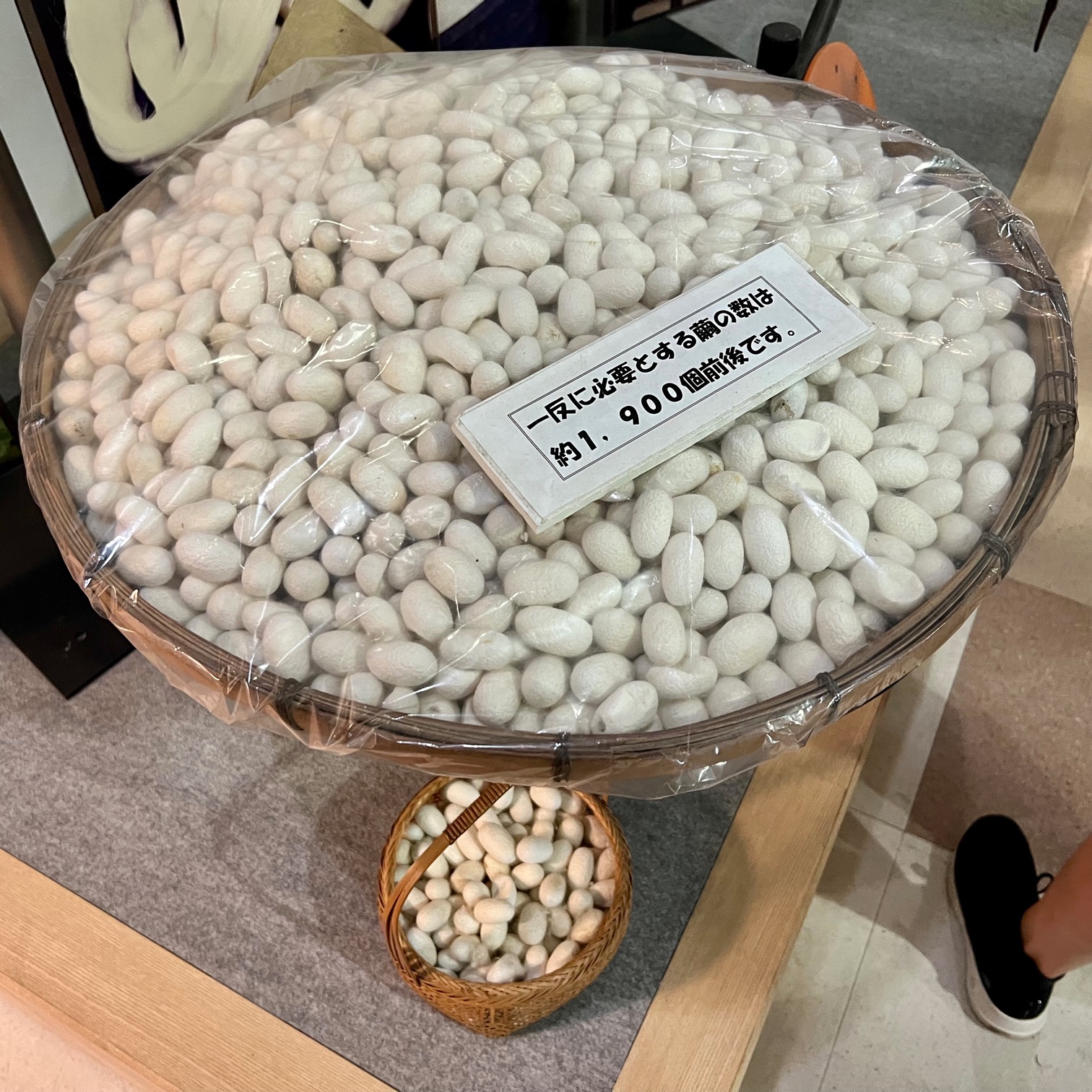 The silkworms not eaten