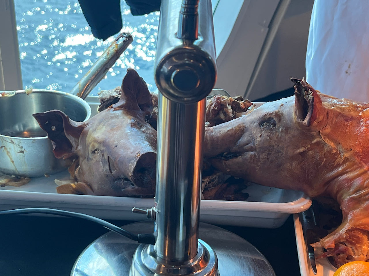 Pigging out on another Day At Sea