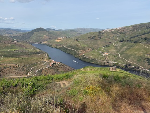 First (and last) full Douro Valley day
