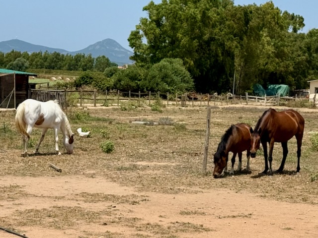 On a farm near the airport