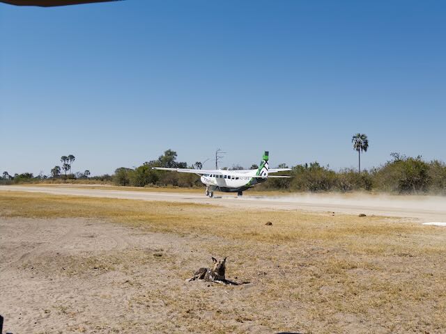 Relocating to Tubu Tree Camp