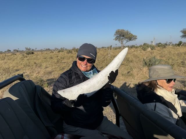 Ivory finders keepers