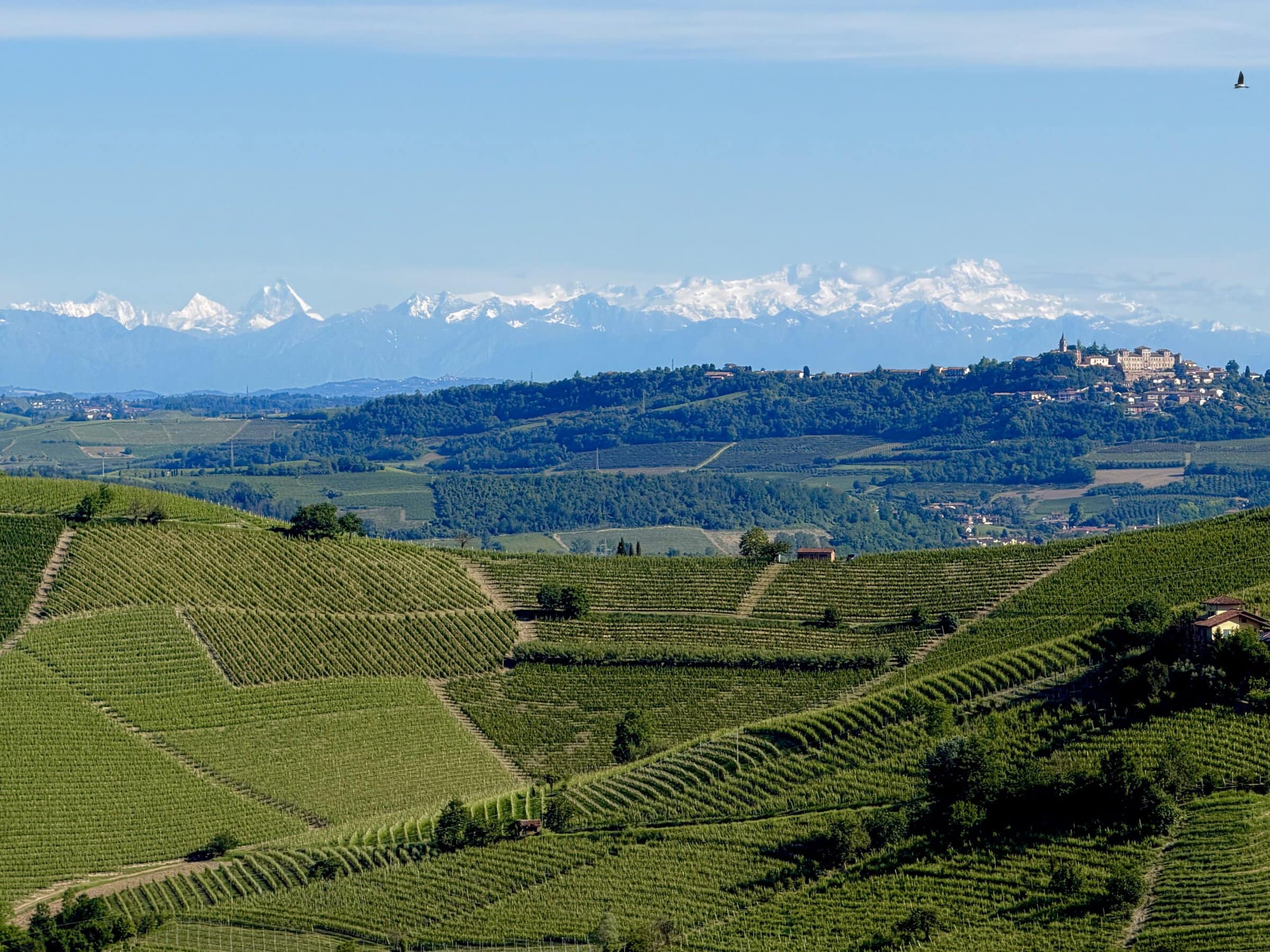 The Alps on a sunny, clear day from the village of Barbaresco
