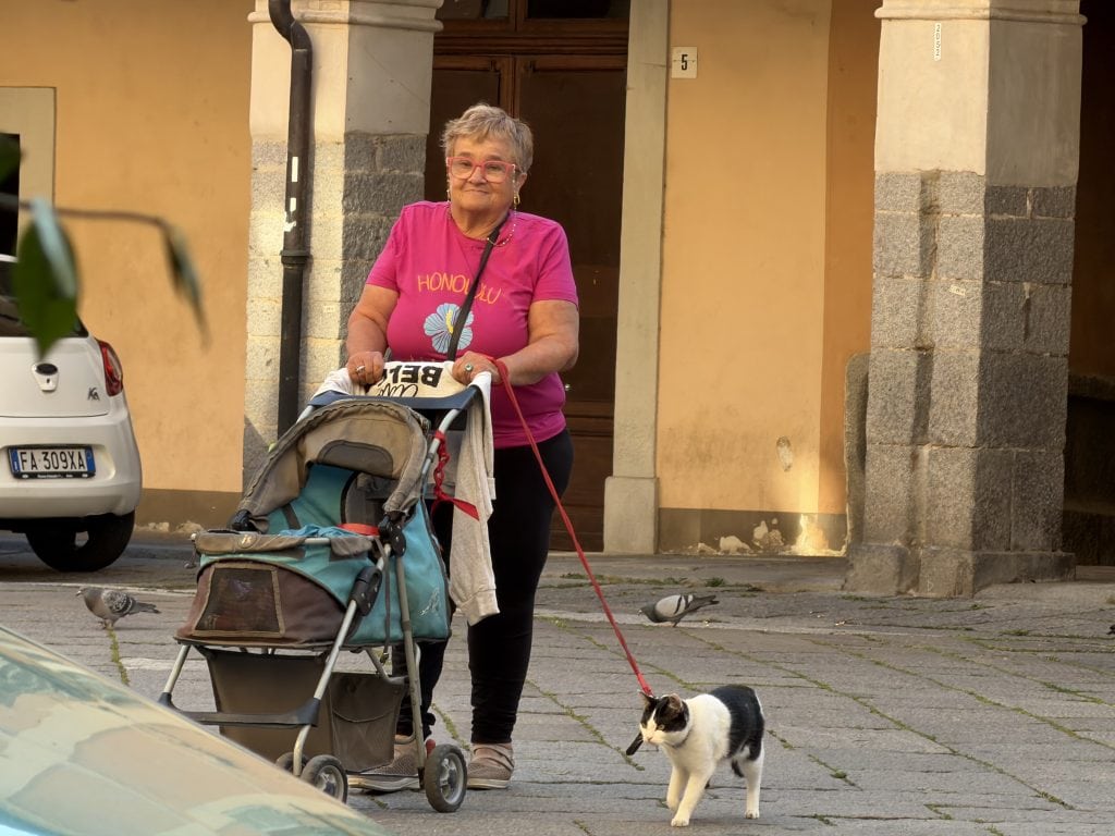 A lady out walking her cat on a leash