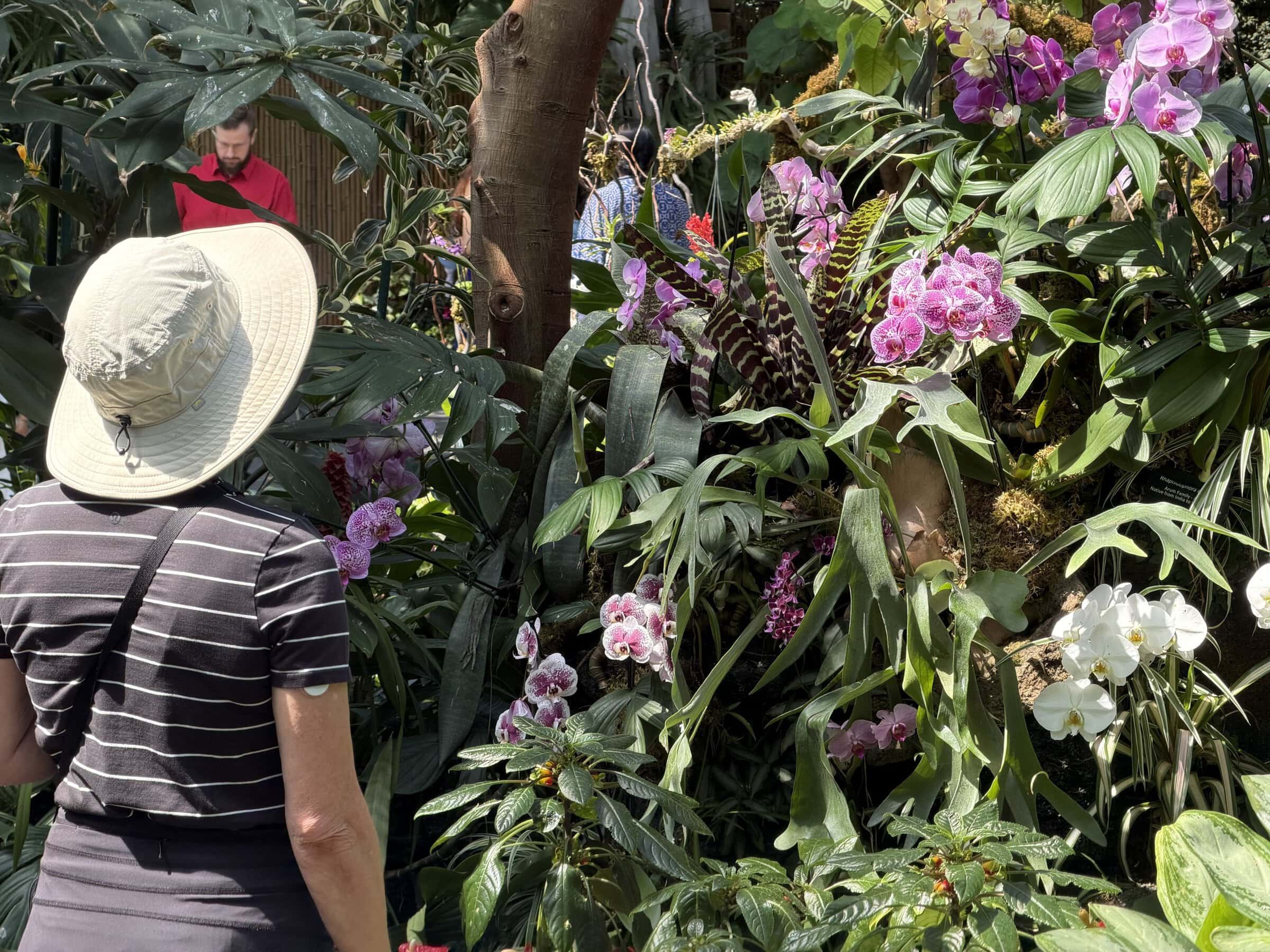 Karen checking out some orchids in the conservatory in the Queen's Garden